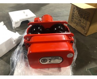 2020惠州電動(dòng)葫蘆案例